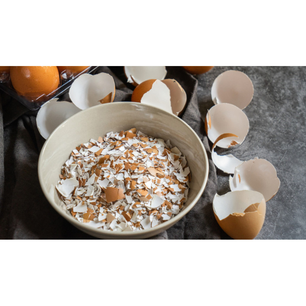 Egg Shell Fertiliser Baja Kulit Telur Baja Organik 有机蛋壳碎 鸡蛋壳 (100g-1kg ...