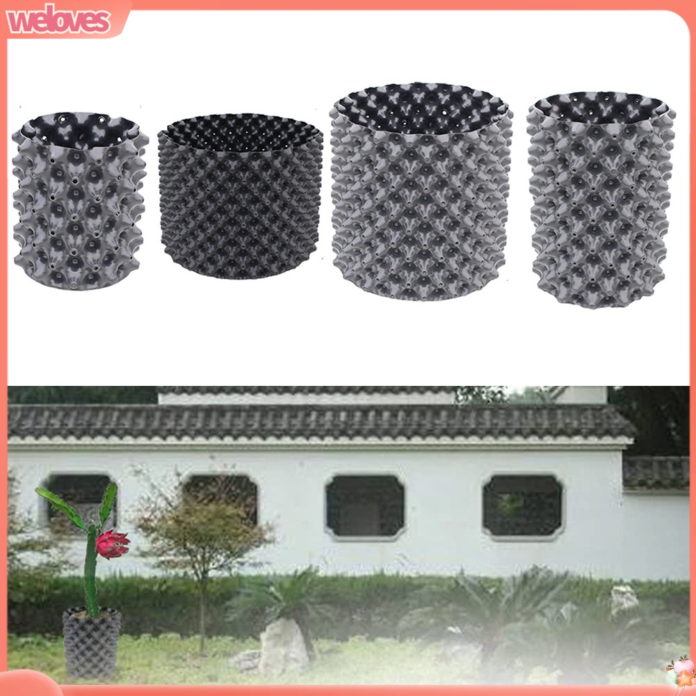 Grow Bags Airpruning Trainer Container Transplant Cuttings Germination