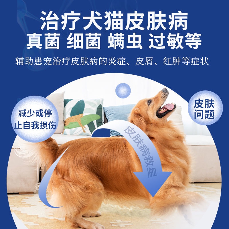 Shenya cat and dog skin diseases, cat ringworm, dog ringworm Shenya cat