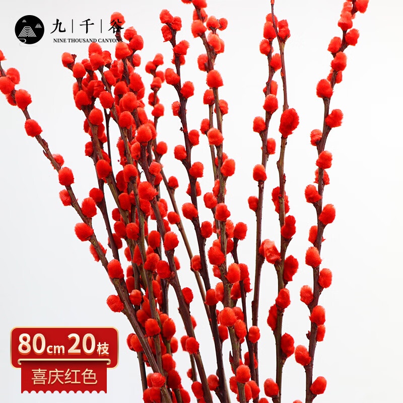 9,000 Valley New Year's Eve Flowers White Willow Dried Flowers Real