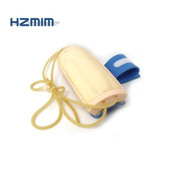 intramuscular injection simulator, injection model, IV training arm ...