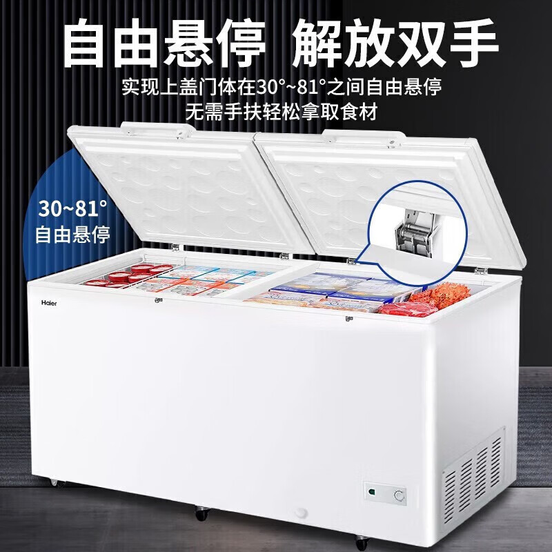 ST-ΨHaier Freezer Commercial Large Capacity Freeze Storage Single ...