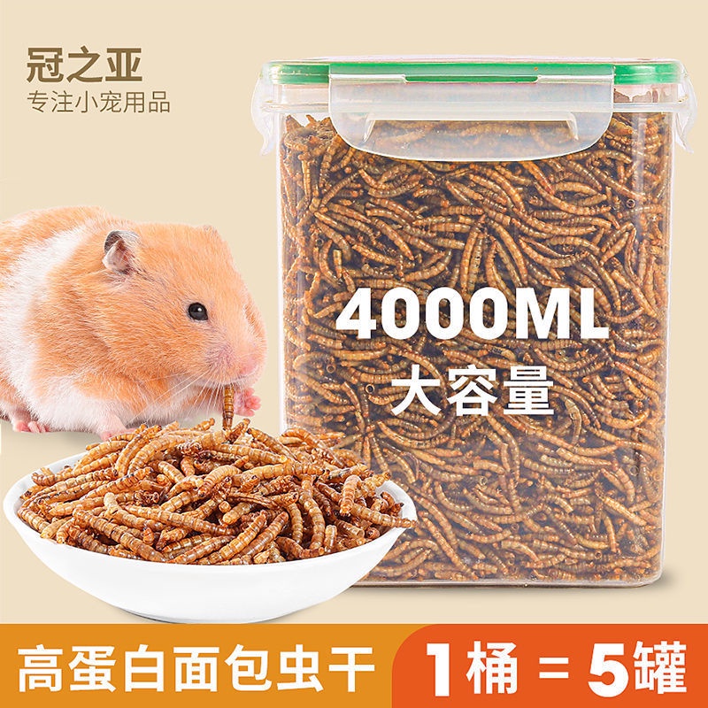 Hamster Dried Mealworm Snacks Yellow Mealworm Golden Worm Food Hedgehog