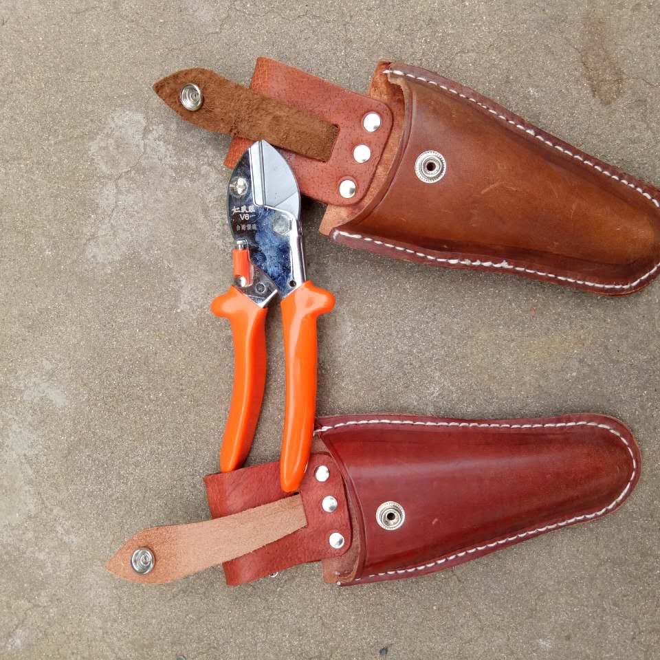Fruit tree scissors with a set for pruning and pruning, wais果树剪刀带套 修枝剪套 ...