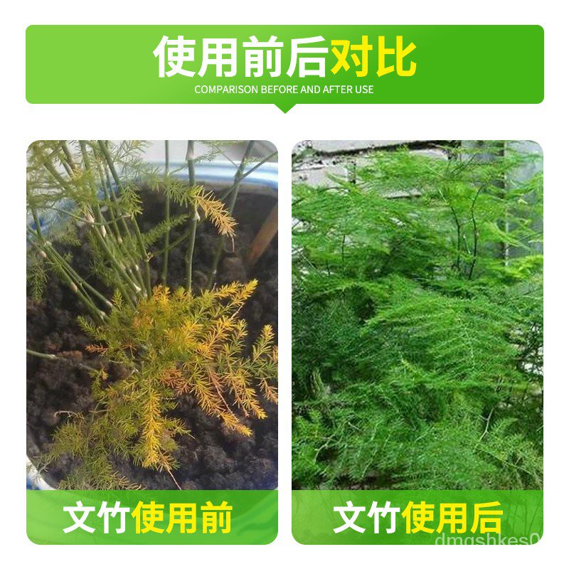 Concentrated Asparagus Fern Universal Leaf Plant Nutrient Solution