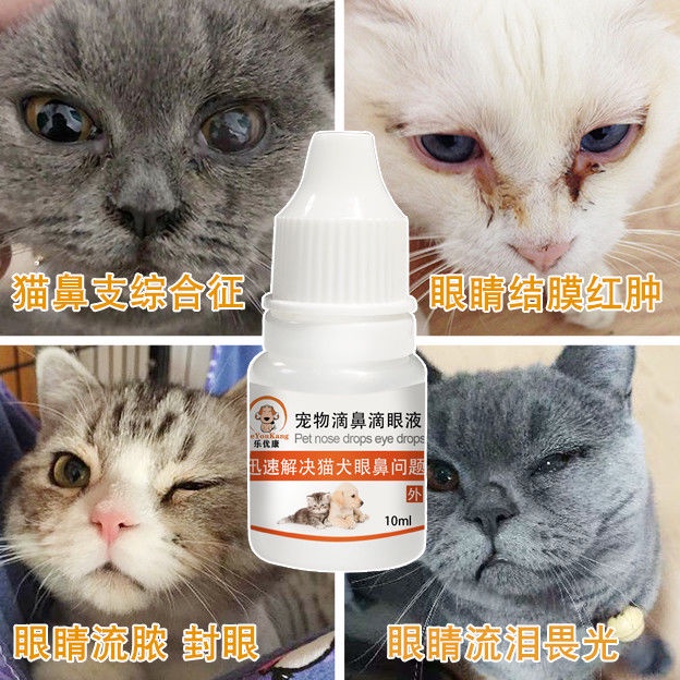 Cat nose branch, cat eye drops, antibacterial and antiinflammatory eye drops, pet dog eye猫鼻支猫咪
