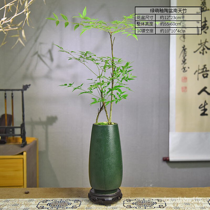 （现货）自然空间（ZRKONJN）南天竹盆栽绿植中式桌面书房盆景 绿萌釉陶盆南天竹+100镂空座 F0NS | Shopee Malaysia