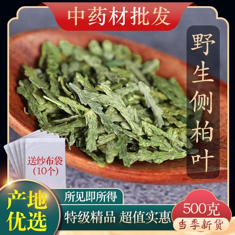 （现货）材野生侧柏叶侧伯叶粉扁柏叶新鲜干货洗发500g茶枯何(质量求生存 ) VSUA | Shopee Malaysia
