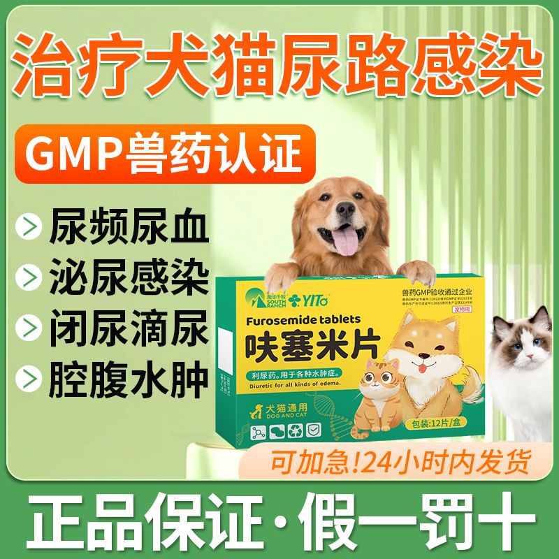 Cat Urinary Tract Infection Urinary Cat Urinary Tract Inflammation