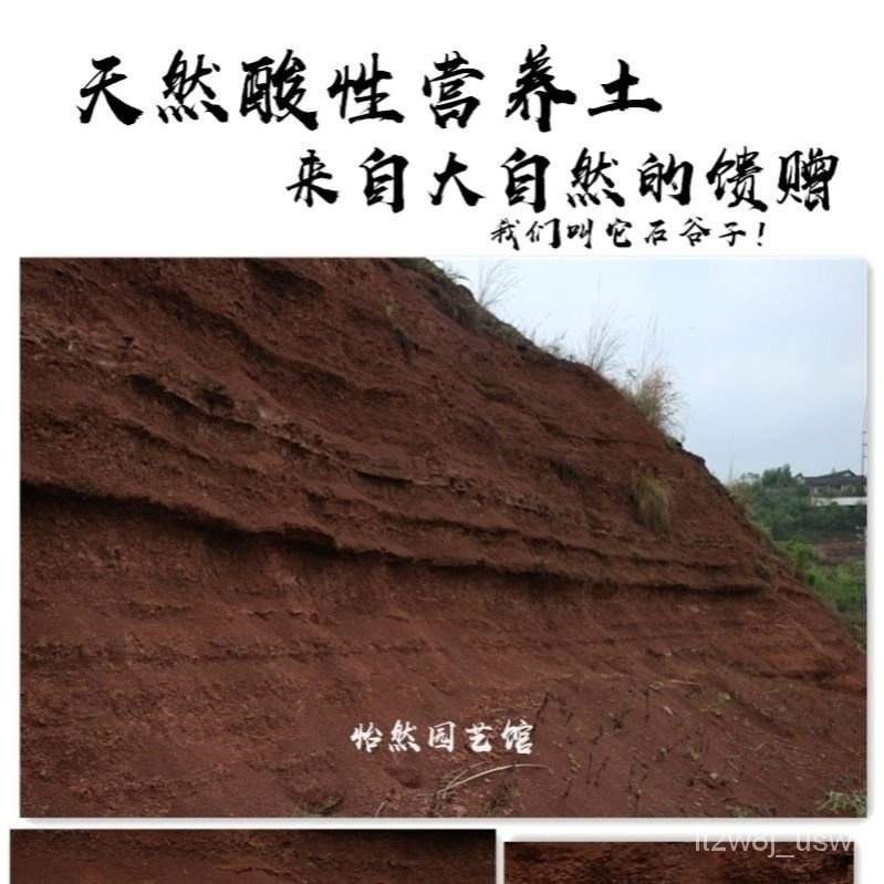 Acid Soil Nutrient Soil Sichuan Rooting Orchid Seepage Stone Natural ...