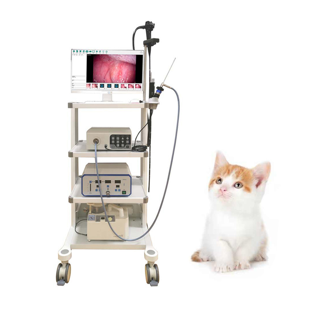 Veterinary Portable Trolley Camera Endoscope System Machine Digital Vet ...