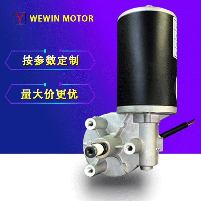 HY& 24vElectric Lifting Motor Worm Gear Permanent DC Motor