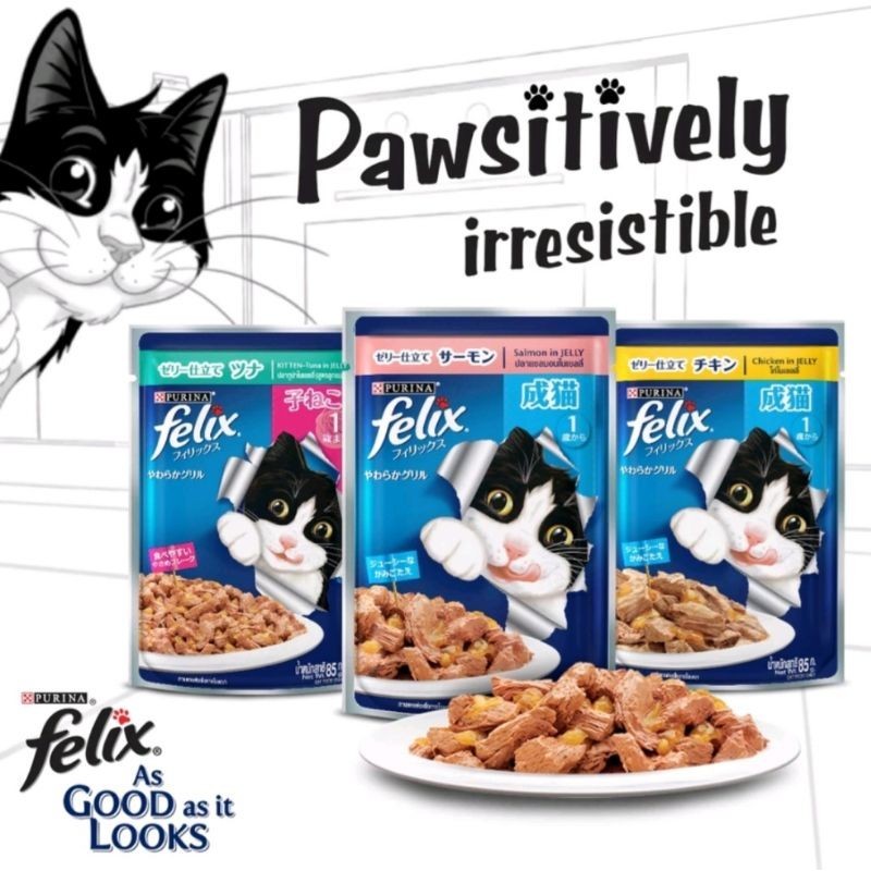 Purina Felix Wet Cat Food 85g x 12 packs Shopee Malaysia