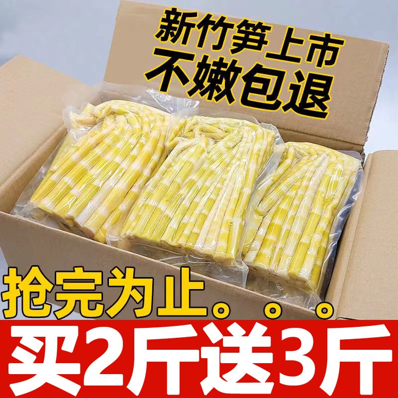 Bamboo Shoots Tender Bamboo Shoots Tip Seasonal Fresh Small Bamboo