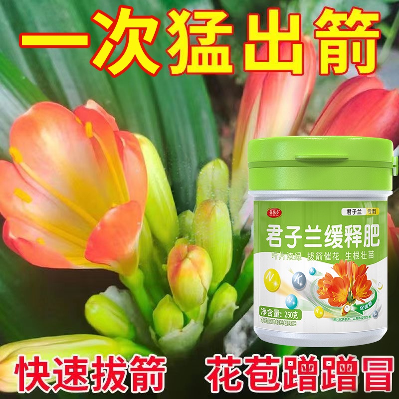 Gentle Orchid Special Fertilizer Flowering Slow Release Fertilizer