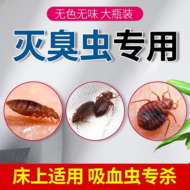 Bitfen Bedbug Drug Bed Worm Special Medicine for Killing Bedbugs Net Bedbug Insecticide Home