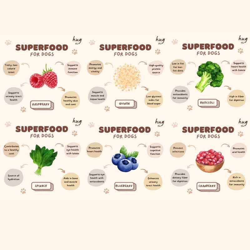 Hug Plus Superfood 90g - Dog Wet Food / Fruit and Vegetable Series ...