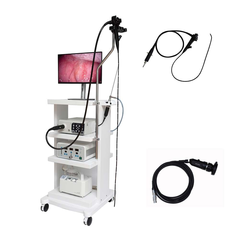 veterinary endoscope machine electronic gastroscopy and electronic
