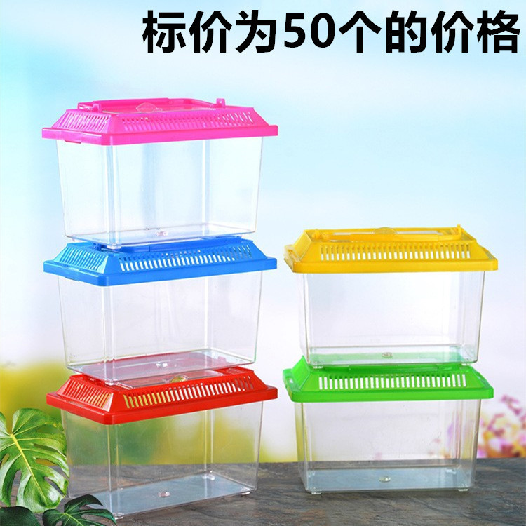 ST-ΨRaise Turtle Jar Carry Large and Small Acrylic Crab Multi-Color ...