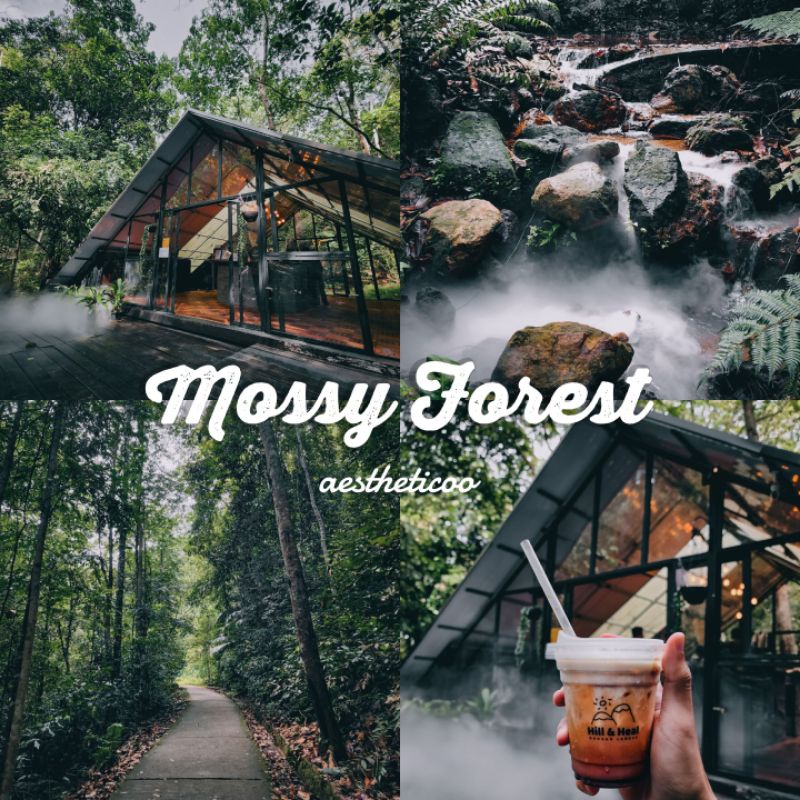 Adobe Lightroom Mobile Presets for IOS and Mobile Mossy Forest Preset