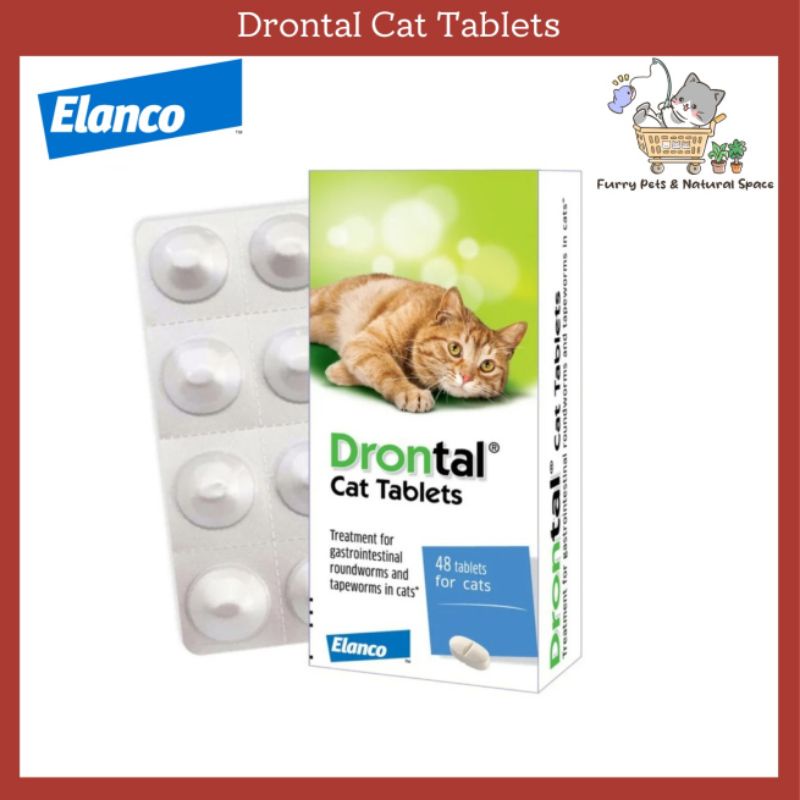 Elanco Drontal Cat Dewormer 1pcs Shopee Malaysia