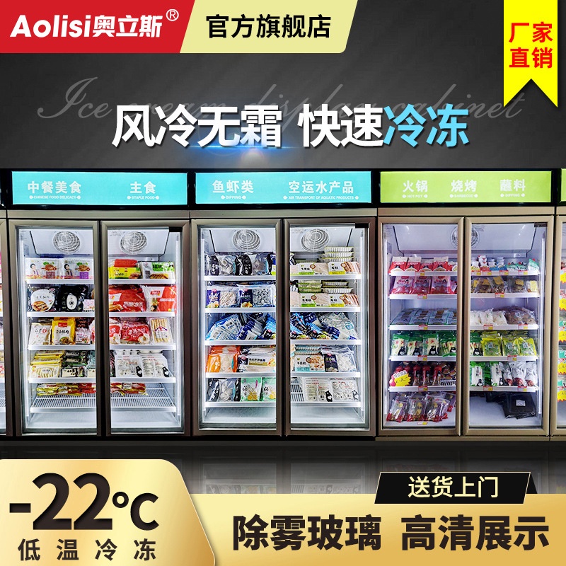 HY@ Oris Commercial Freeze Storage Display Cabinet Vertical Ice Cream ...