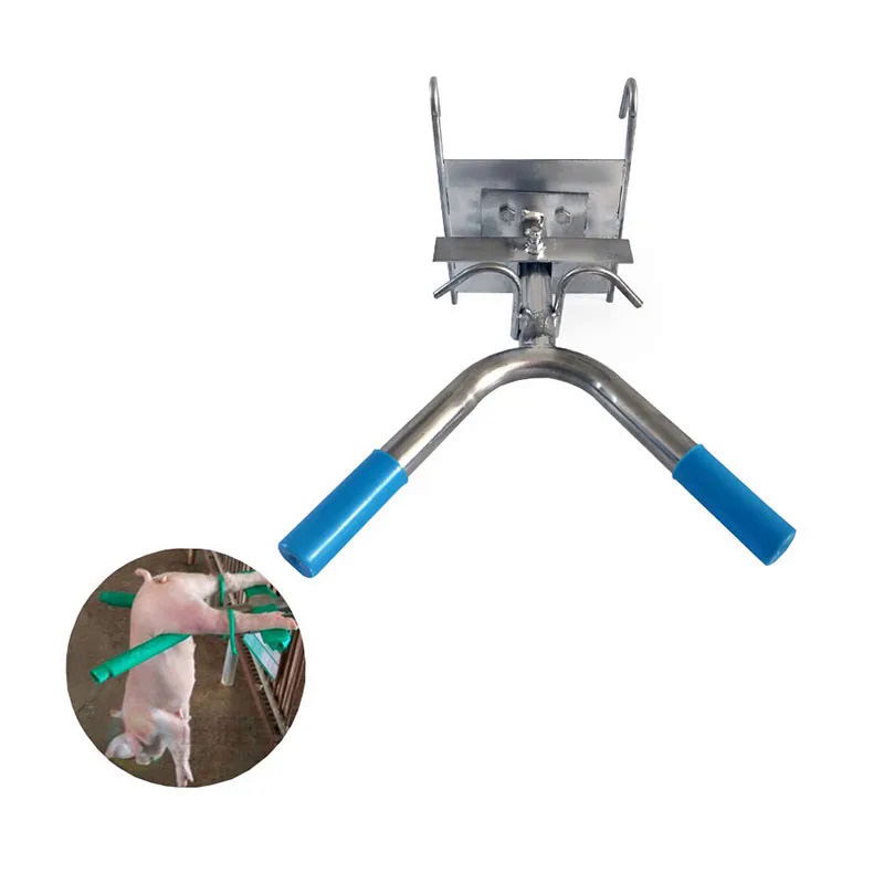 Piglet Castration rack Veterinary tool 304 Stainless Steel Pig ...