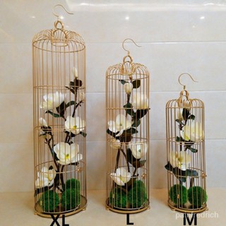 Decorative bird hotsell cage online