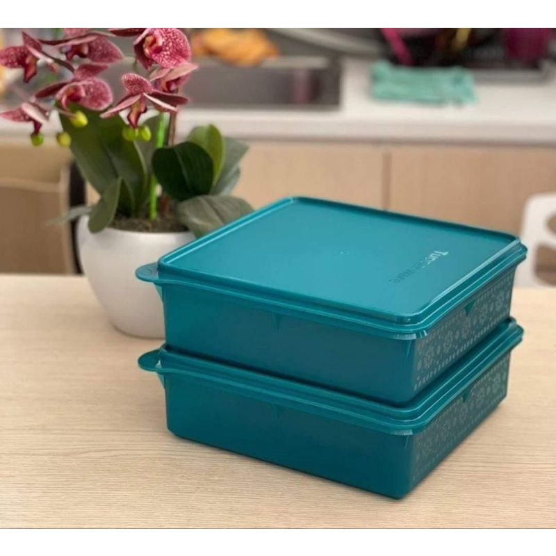 Tupperware original 100% - Snack Stor B2B (1 pcs) | Shopee Malaysia