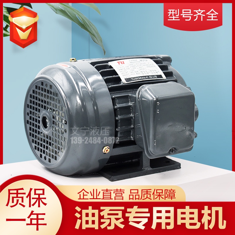 HY& Desktop Hydraulic Oil Pump Motor Direct Plug-in Motor1HP 2HP 3HP ...