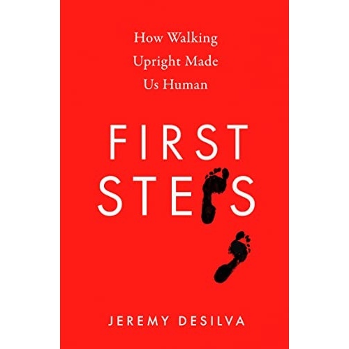 (BBW) First Steps: How Walking Upright Made Us Human(ISBN ...