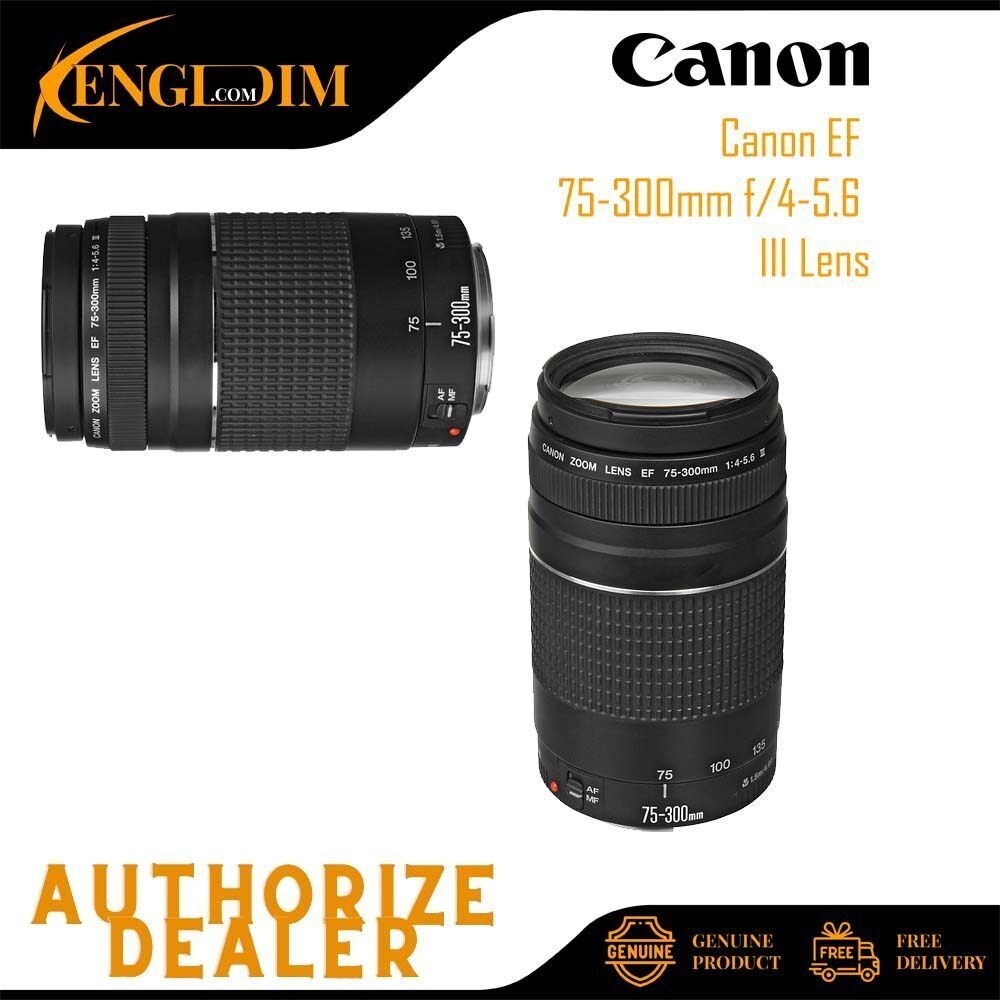 実用良品/CANON EF 100-300mm F5.6 望遠ズームレンズ