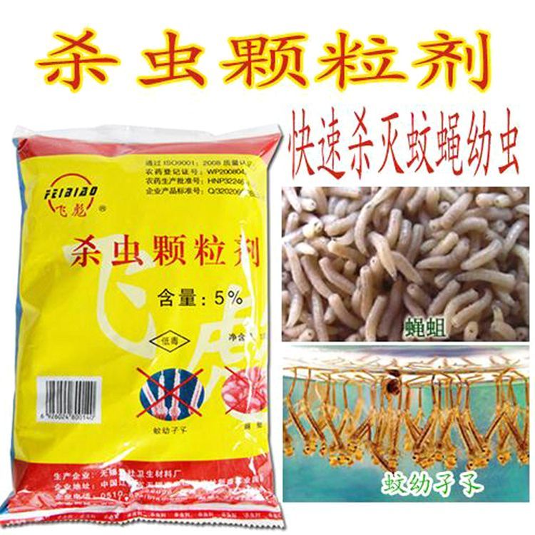 Rural toilets use maggot killing drugs to kill maggots, dry Country