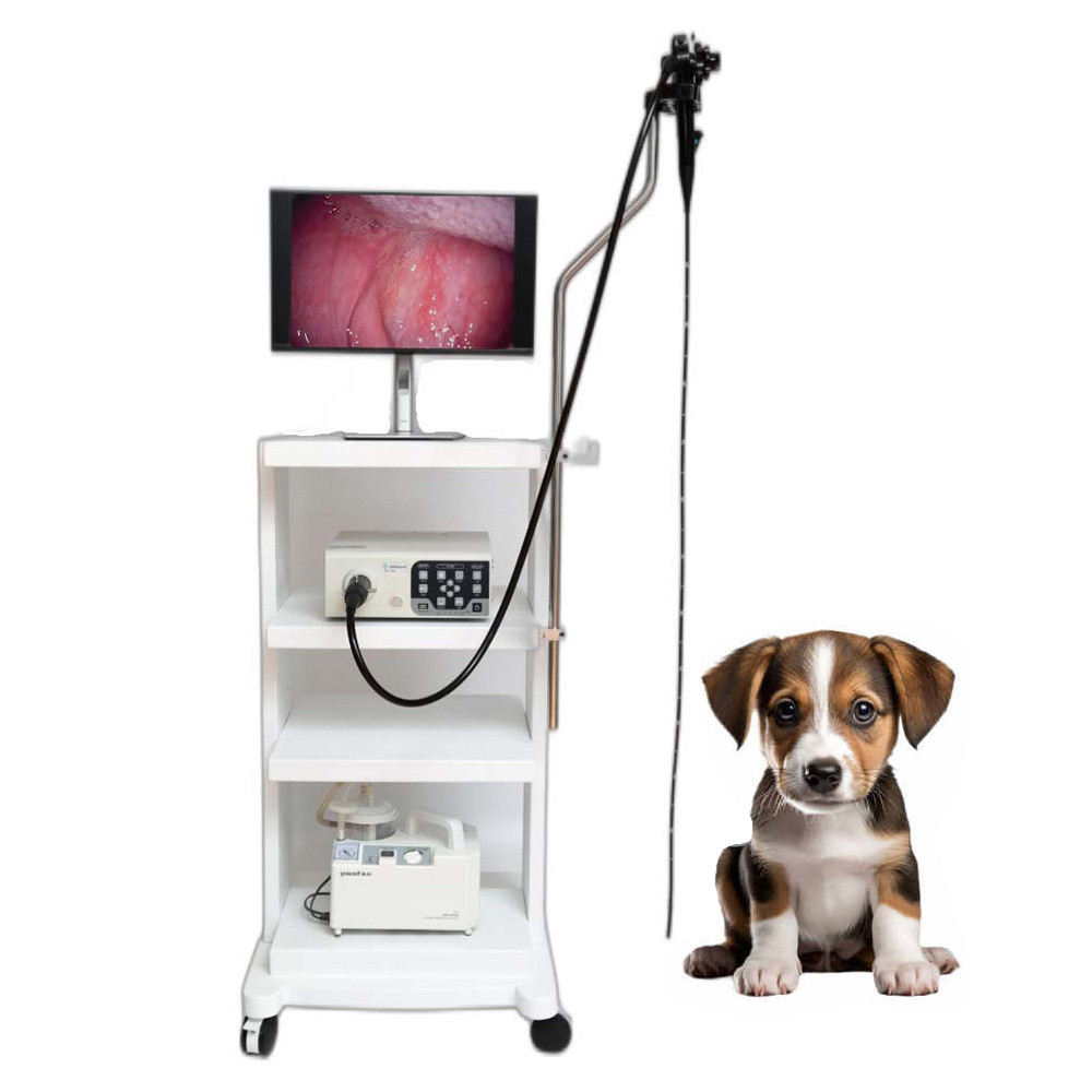 Factory Price Endoscopic Camera Gastroscopy Endoscopy 6.3mm 1080P Video
