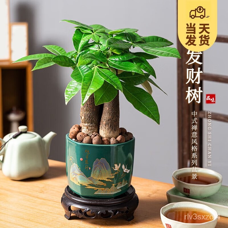 Zen Ornament Lucky Tree Fruit Shake Money Office Small Green Plant ...