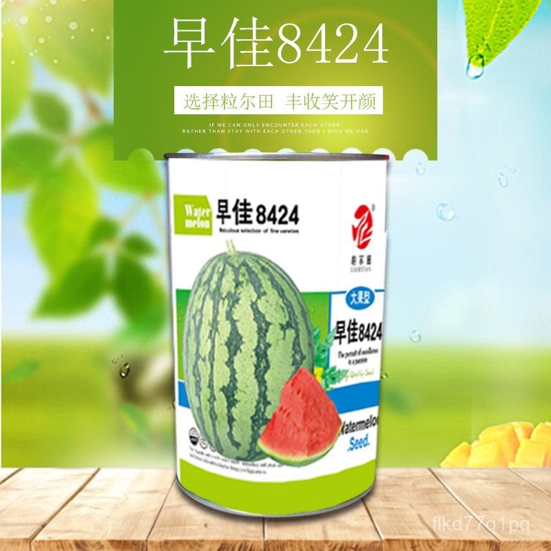粒尔田早佳8424西瓜种子 西瓜种籽 麒麟露地大棚基地用种(现货) ZCZF | Shopee Malaysia