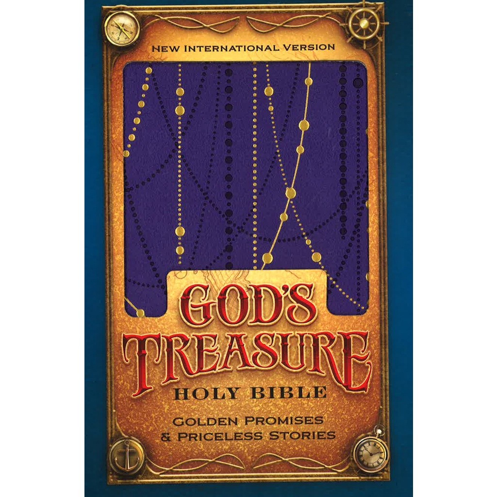 (BX) Niv, God's Treasure Holy Bible, Leathersoft, Amethyst Golden ...