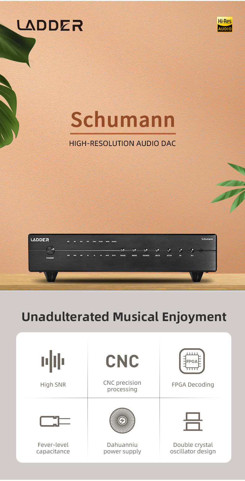Ladder Schumann, Digital-to-Analog Converter: HiFi USB DSP Coaxial OPT ...