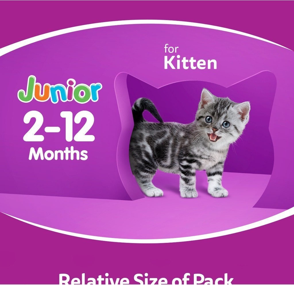 [2 x Value Pack (12 Packs) / 2 Flavor] Whiskas Wet Food Multipack For ...