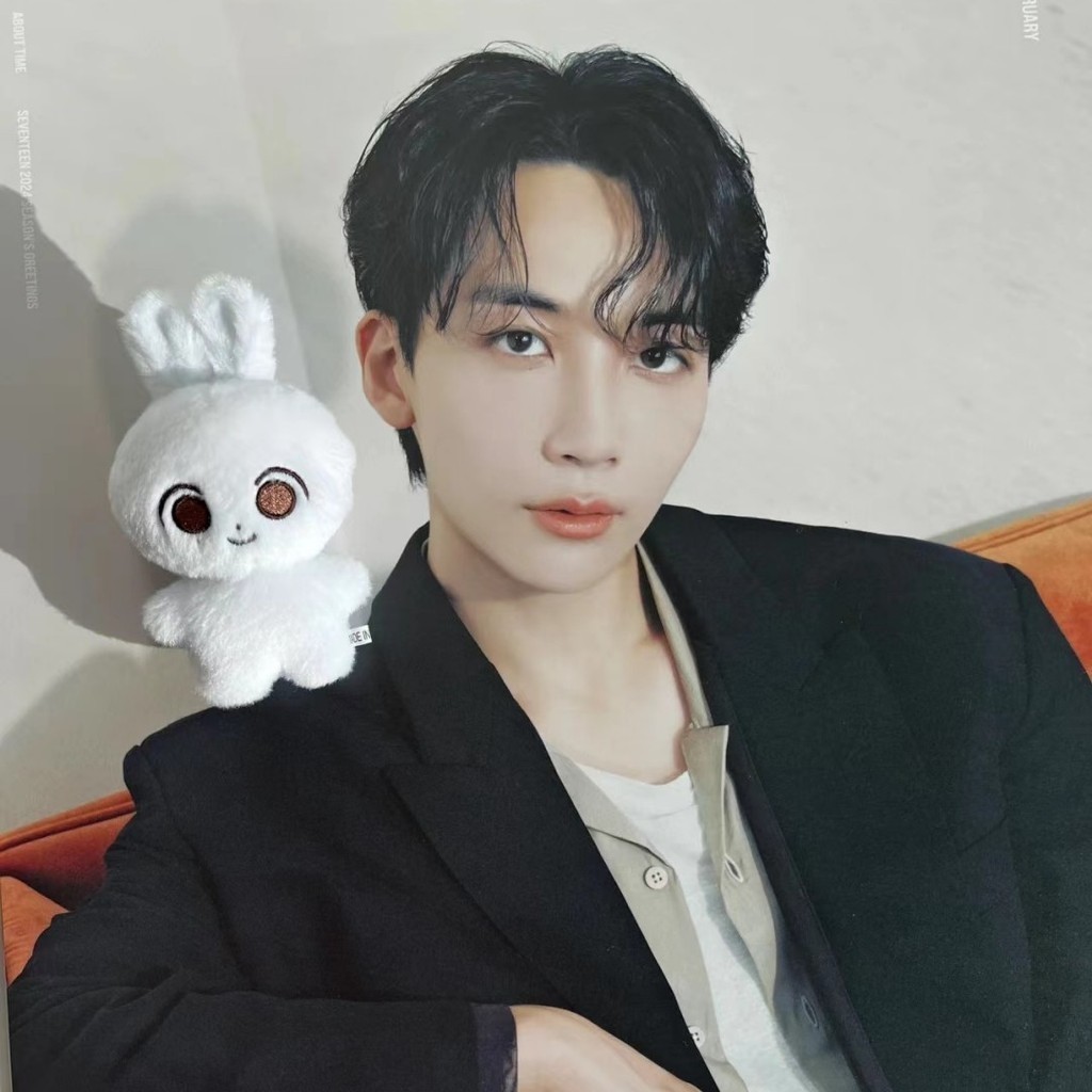 10cm Kpop Idol SEVENTEEN Doll JEONGHAN Glutinous Rice White Rabbit ...