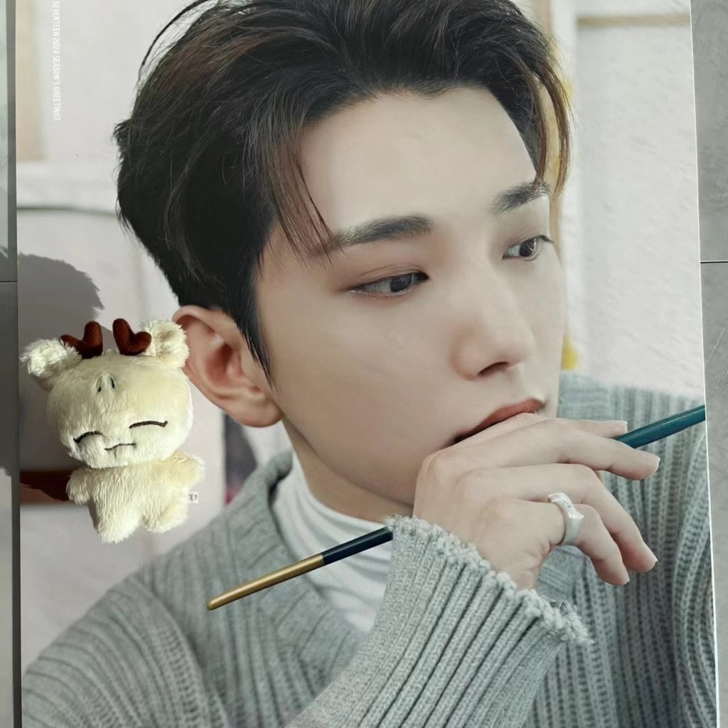 10cm Kpop Idol SEVENTEEN Doll JEONGHAN Glutinous Rice White Rabbit ...