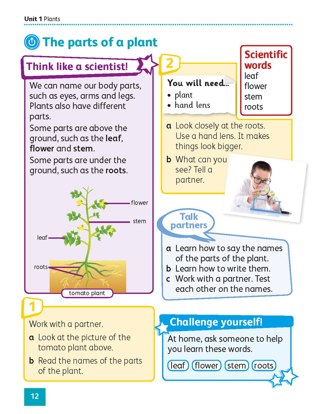 16 Hodder Cambridge Primary Science LEARNER BOOK Stage 1 (PDF) Year 1 ...