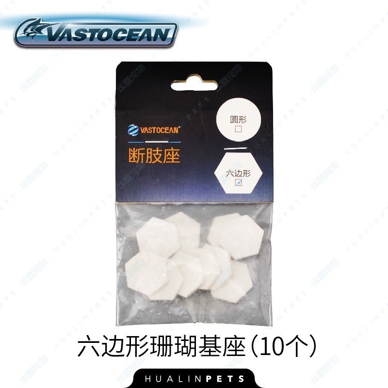 [READY STOCK]Sea Fish Seawater Coral Broken Branch Seat Broken Limb ...