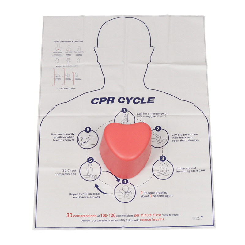 { MY Fashion } Mini Heart-Shaped First Aid Training Rescue Teaching ...