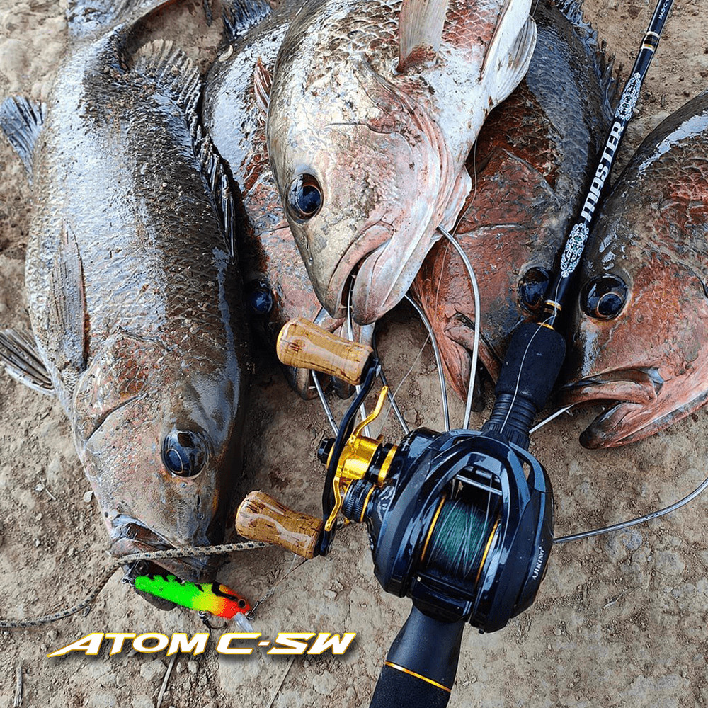 Ajiking Atom C SW Mesin Pancing Baitcasting | Left handle Kiri ...