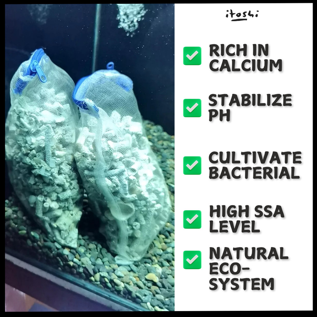 Photo inspiration: Picture Idea: Itoshi Ph Stabilizer Combo Set Coral Stone Oyster Shell Aquarium