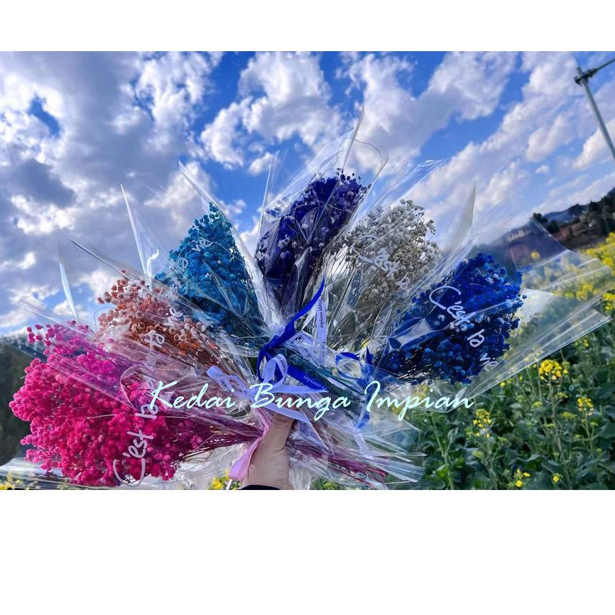 (40g+-) Ready Stock Baby Breath/Dried Preserved Gypsophila For Bouquet ...