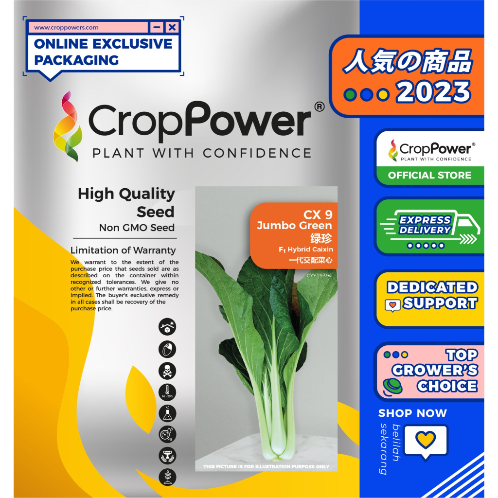 Biji Benih Sawi Putih Caixin Seeds 菜心种子 Crop Power F1 Hybrid Cx9