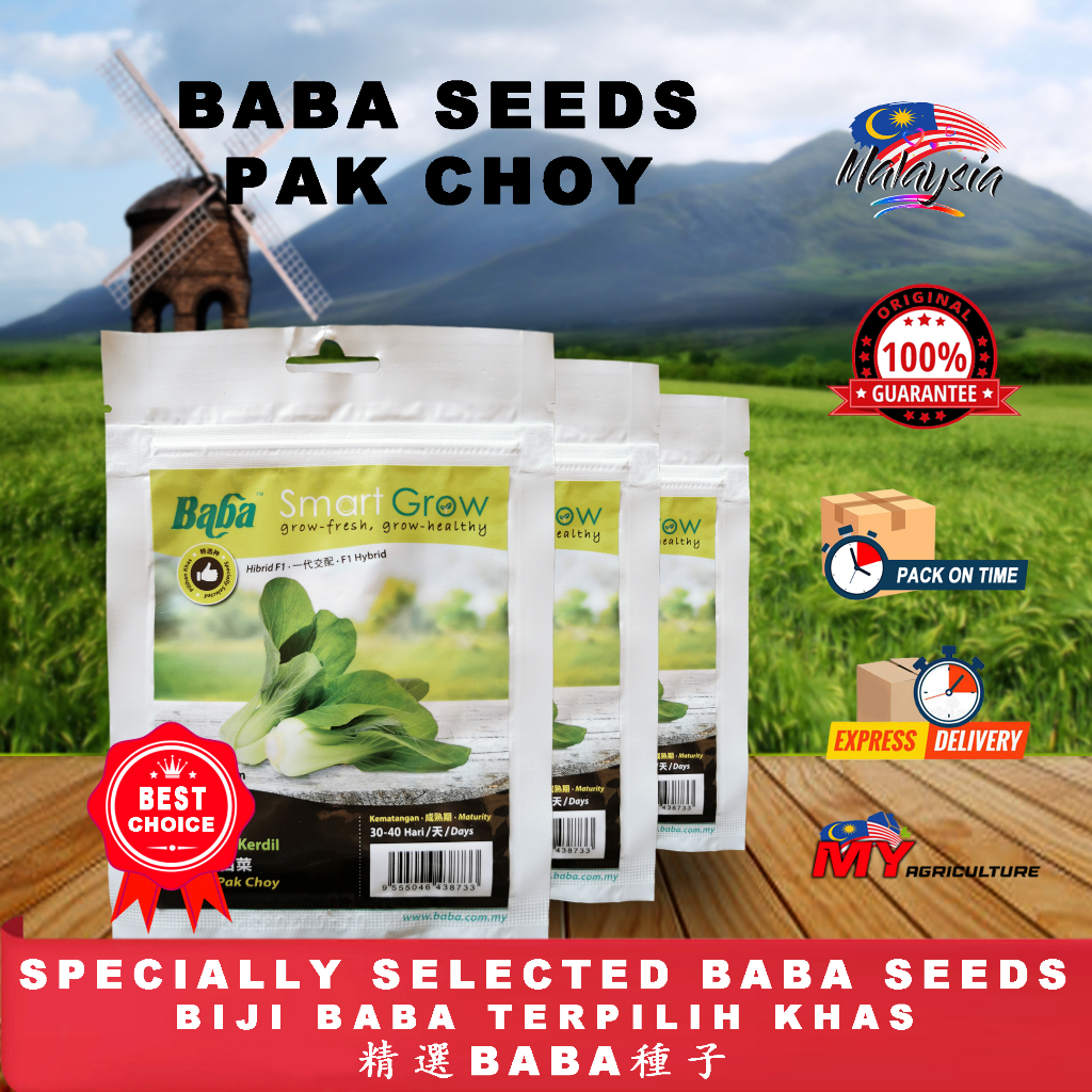 BABA BIJI PAK CHOY KERDIL SEEDS (5G +-) - MY AGRICULTURE ( BUAH SAYUR ...