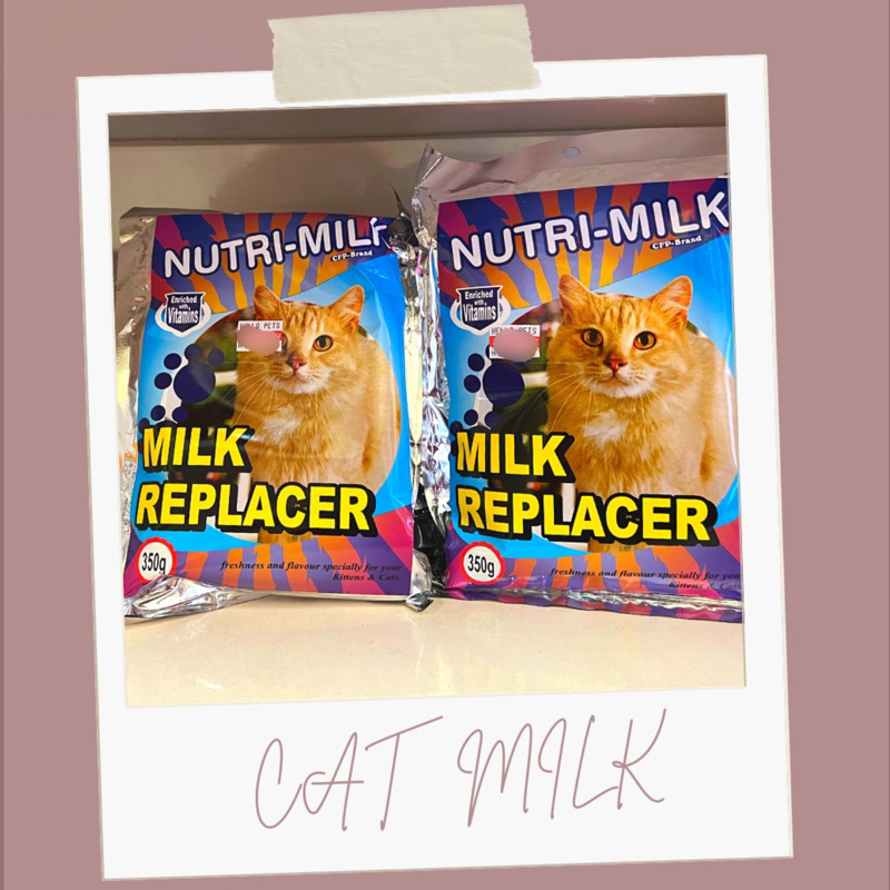 Top 5 Best Milk Replacement For Kittens | Healthy Cat Guide